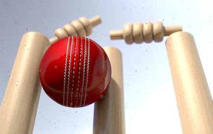 Cricket Ball